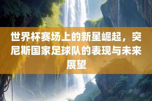 世界杯赛场上的新星崛起，突尼斯国家足球队的表现与未来展望漯河市盈旭机械设备有限公司