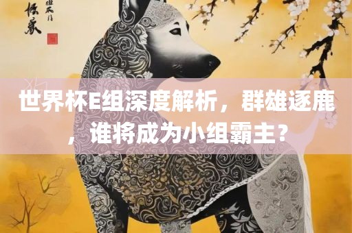 世界杯E组深度解析，群雄逐鹿，谁将成为小组霸主？