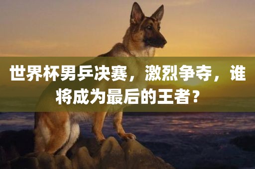 liziping 第2页
