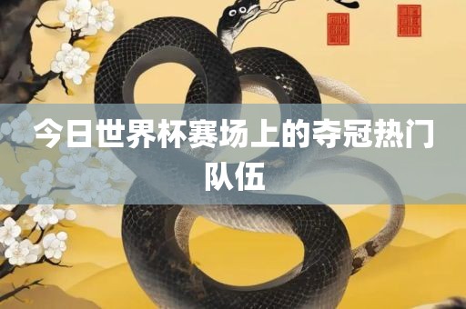 今漯河市盈旭机械设备有限公司日世界杯赛场上的夺冠热门队伍