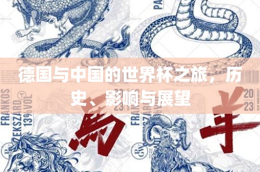 德国与中国的世界杯之旅，历史、影响与展望漯河市盈旭机械设备有限公司