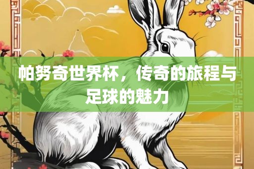 帕努奇世界杯，传奇的旅程与足球的魅力