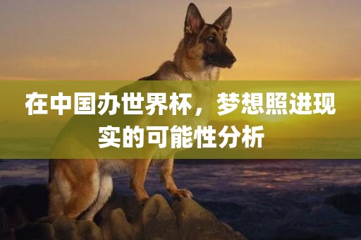在中国办世界杯，梦想照进现实的可能性分析
