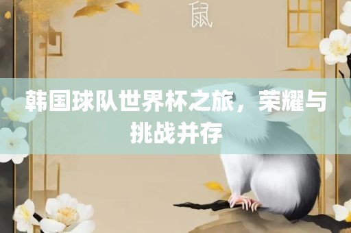韩国球队世界杯之旅，荣耀与挑战并存