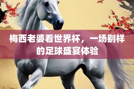 梅西老婆看世界杯，一场别样的足球盛宴体验漯河市盈旭机械设备有限公司