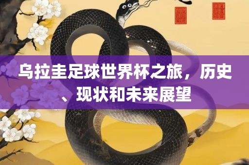 乌拉圭足球世界杯之旅，历史、现状和未来展望