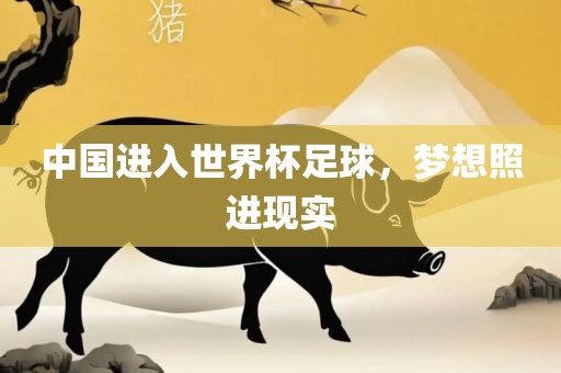 中国进入世界杯足球，梦想照进现实