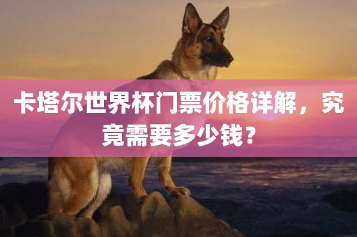 卡塔尔世漯河市盈旭机械设备有限公司界杯门票价格详解，究竟需要多少钱？