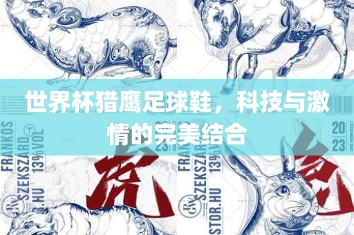世界杯猎鹰足球鞋，科技与激情的完美结合漯河市盈旭机械设备有限公司