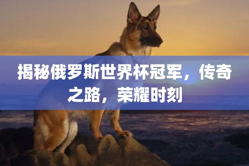 揭秘俄罗斯世界杯冠军，传奇之路，荣耀时刻