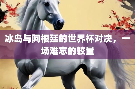 冰岛与阿根廷的世界杯对决，一场难忘的较量漯河市盈旭机械设备有限公司