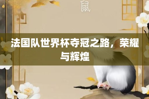 法国队世界杯夺冠之路，荣耀与辉煌