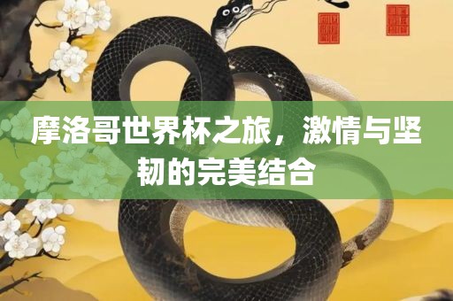摩洛哥世界杯之旅，激情与坚韧的完美结合