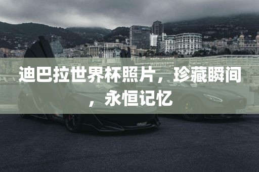 迪巴拉世界杯照片，珍藏瞬间，永恒记忆