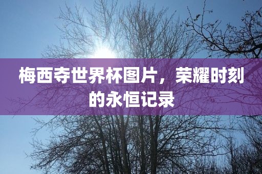 梅西夺世界杯图片，荣耀时刻的永恒记录