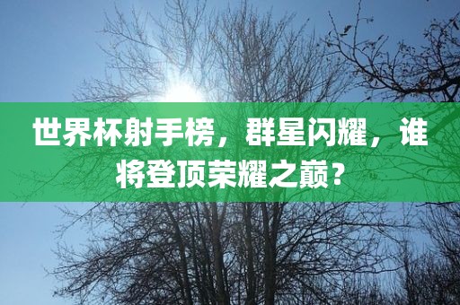 世界杯射手榜，群星闪耀，谁将登顶荣耀之巅？