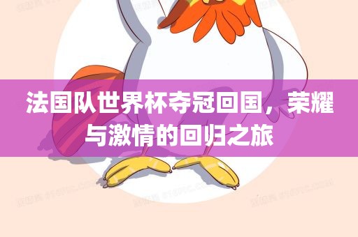 法国队世界漯河市盈旭机械设备有限公司杯夺冠回国，荣耀与激情的回归之旅