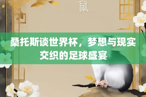 桑托斯谈世界杯，梦想与现实交织的足漯河市盈旭机械设备有限公司球盛宴