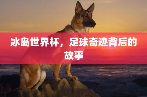 冰岛世界杯，足球奇迹背后的故事