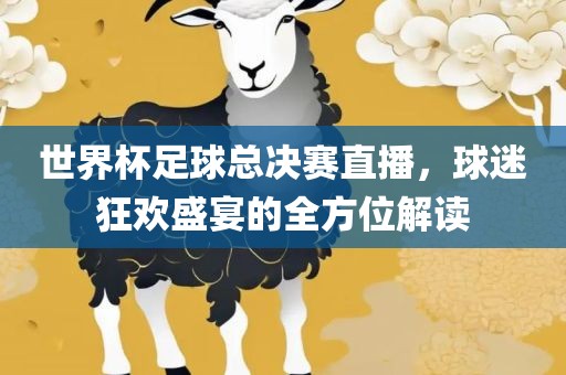 世界杯足球总决赛直播，球迷狂欢盛宴的全方位解读