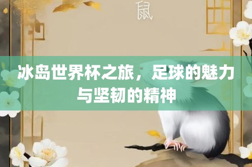 冰岛世界杯之旅，足球的魅力与坚韧的精神