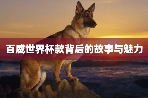 百威世界杯款背后的故事与魅力