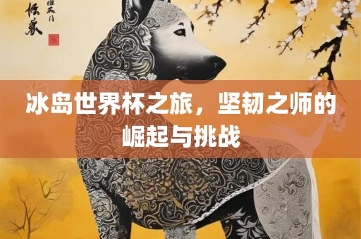 冰岛世界杯之旅，坚韧之师的崛起与挑战