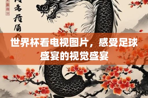 世界杯看电视图片，感受足球盛宴的视觉盛宴