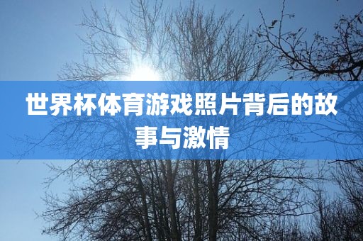 世界杯体育游戏照片背后的故事与激情漯河市盈旭机械设备有限公司