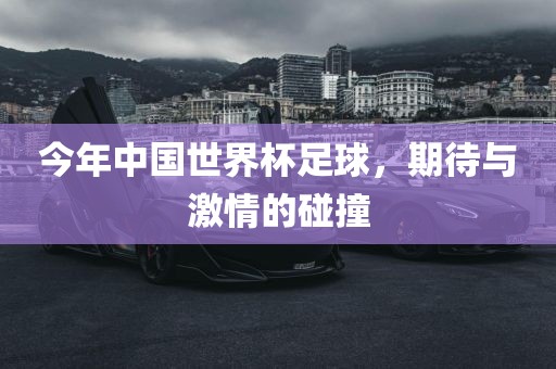 今年中国世界杯足球，期待与激情的碰撞
