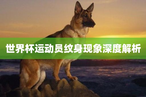 世界杯运动员纹身现象深度解析漯河市盈旭机械设备有限公司