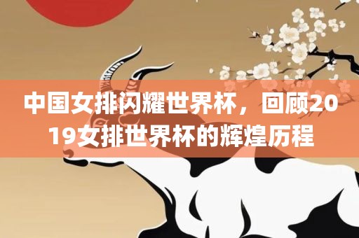 中国女排闪耀世界杯，回顾2019女排世界杯的辉煌历程