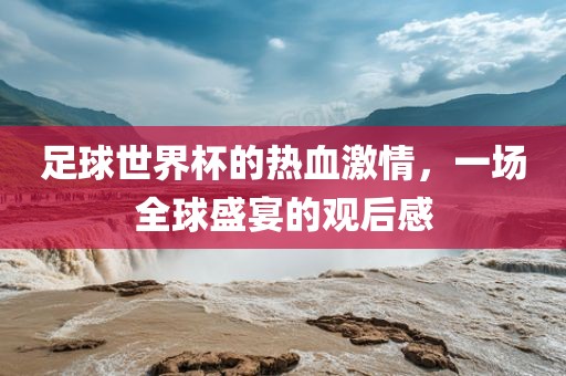 足球世界杯的热血激情，一场全球盛宴的观后感