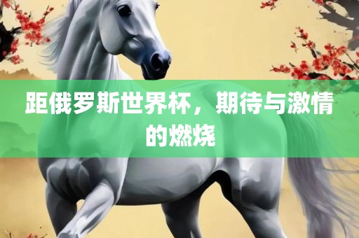 距俄罗斯世界杯，期待与激情的燃烧