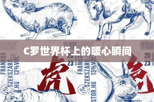 C罗世界杯上的暖心瞬漯河市盈旭机械设备有限公司间
