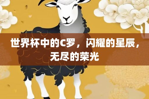 世界杯中的C罗，闪耀的星辰，无尽的荣光漯河市盈旭机械设备有限公司