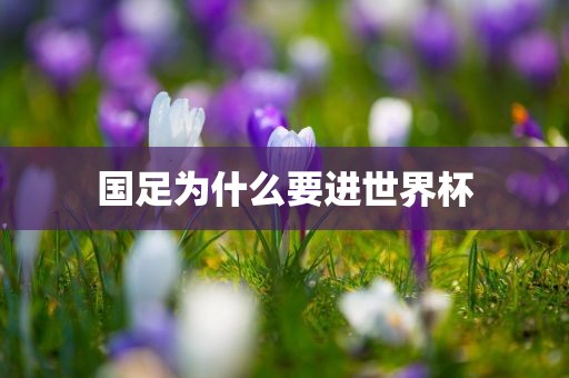 国足为什么要进世界杯漯河市盈旭机械设备有限公司