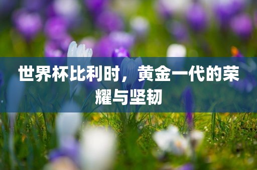 世界杯比利时，黄金一代的荣耀与坚韧