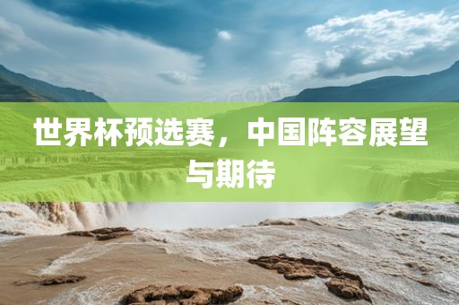 世界杯预选赛，中国阵容展望与期待