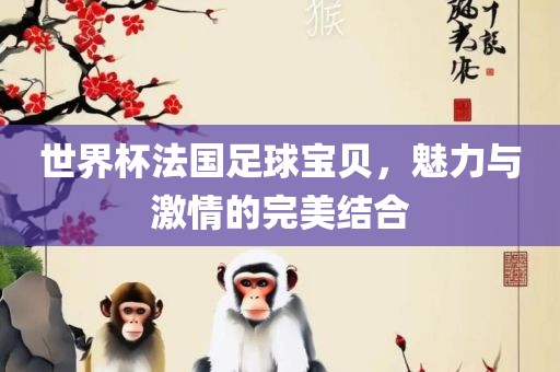 世界杯法国足球宝贝，魅力与激情的完美结合