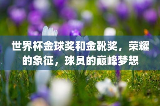 世界杯金球奖和金靴奖，荣耀的象漯河市盈旭机械设备有限公司征，球员的巅峰梦想