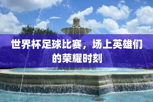 世界杯足球比赛，场上英雄们的荣耀时刻