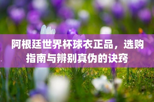 阿根廷世界杯球衣正品，选购指南与辨别真伪的诀窍漯河市盈旭机械设备有限公司