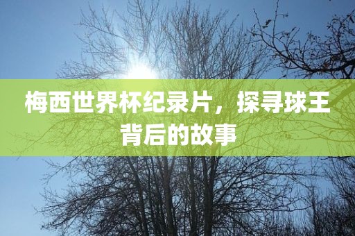 梅西世界杯纪录片，探寻球王背后的故事漯河市盈旭机械设备有限公司