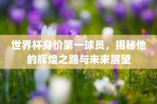 世界杯身价第一球员，揭秘他的辉煌之路与未来展望漯河市盈旭机械设备有限公司