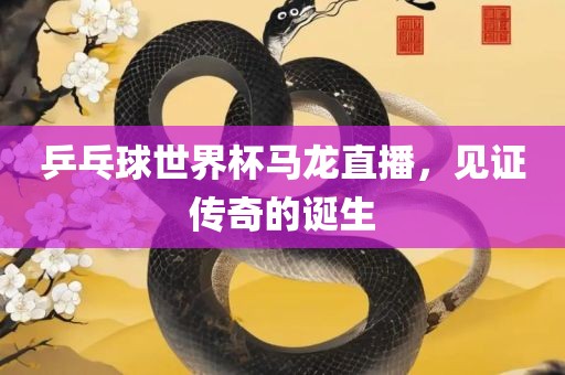 乒乓球世界杯马龙直播，见证传奇的诞生漯河市盈旭机械设备有限公司