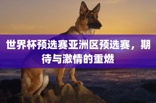 世界杯预选赛亚洲区预选赛，期待与激情的重燃