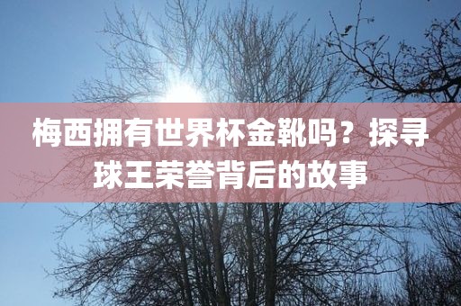 梅西拥有世界杯金靴吗？探寻球王荣誉背后的故事漯河市盈旭机械设备有限公司