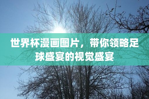 世界杯漫画图片，带你领略足球盛宴的视觉盛宴