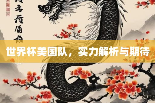 世界杯美国队，实力解析与期待